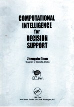 Computational intelligence for decision support