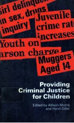 Providing criminal justice for children