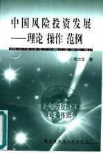 中国风险投资发展 理论、操作、范例