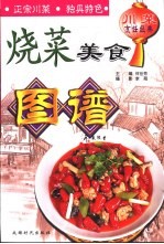 川菜烹饪经典 烧菜美食图谱