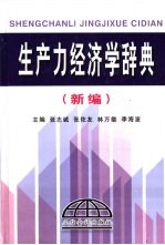 生产力经济学辞典 新编