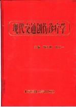 现代交通创伤诊疗学