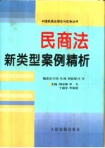 民商法新类型案例精析