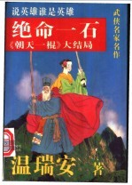 绝命一石 《朝天一棍》大结局