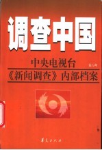 调查中国：中央电视台《新闻调查》内部档案 第6部