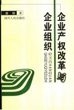 企业产权改革与企业组织