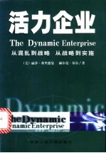 活力企业 从混乱到战略，从战略到实施