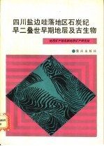 四川盐边哇落地区石炭纪-早二叠世早期地层及古生物