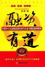 融资有道 中国中小企业融资操作技巧大全与精品案例解析 最新修订精华版