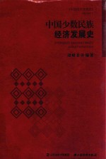 中国少数民族经济发展史