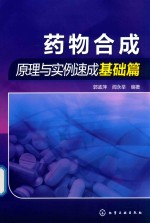 药物合成原理与实例速成 基础篇