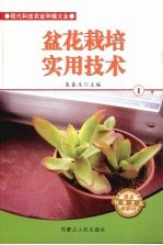 盆花栽培实用技术 1