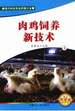 肉鸡饲养新技术 1