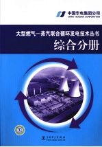 大型燃气·蒸汽联合循环发电技术丛书 综合分册