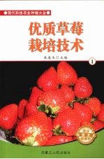 优质草莓栽培技术 1