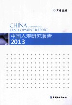 中国人寿研究报告 2013