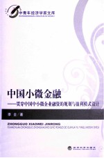 中国小微金融 贯穿中国中小微企业融资的规划与盈利模式设计