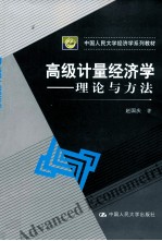 高级计量经济学  理论与方法