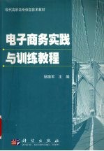 电子商务实践与训练教程