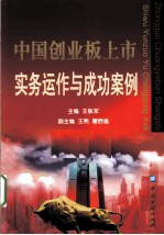 中国创业板上市实务运作与成功案例