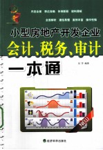 小型房地产开发企业会计、税务、审计一本通