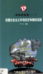 开放的海南 5 创建社会主义市场经济体制的实践