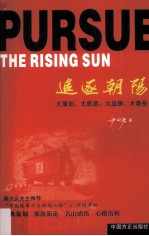 追逐朝阳 大策划、大旅游、大品牌、大南岳