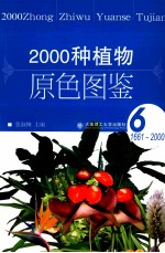 2000种植物原色图鉴 6