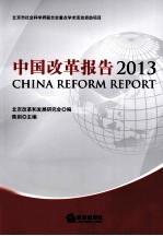 中国改革报告 2013