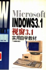 Microsoft WINDOWS3.1视窗3.1实用自学教材