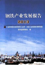 钢铁产业发展报告 2013