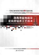 渤海湾盆地超深定向井钻井工艺技术  中国石油风险探井新港1井钻探实践