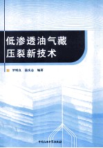 低渗透油气藏压裂新技术