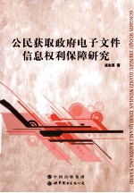 公民获取政府电子文件信息权利保障研究