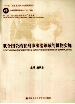 联合国公约在刑事法治领域的贯彻实施 第二届当代刑法国际论坛论文集