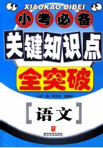 小考必备·关键知识点全突破 语文