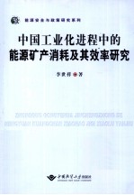 中国工业化进程中的能源矿产消耗及其效率研究