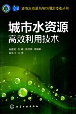 城市水资源与节约用水技术丛书 城市水资源高效利用技术