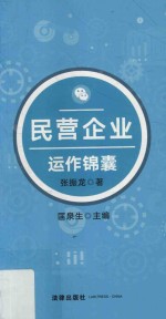 民营企业运作锦囊