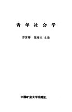 青年社会学