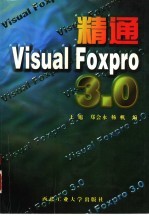 精通Visual Foxpro 3.0