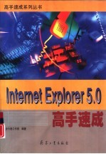 Internet Explorer 5.0高手速成