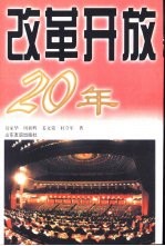 改革开放20年