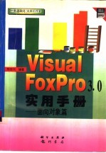 Visual Foxpro高级技术应用手册