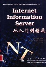 Internet中文信息资源指南