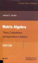 MATRIX ALGEBRA THEORY