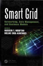 Smart Grid Networking Data Management and Business Models