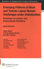 Emerging patterns of work and Turkish labour market challenges under globalization