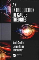 An Introduction To Gauge Theories