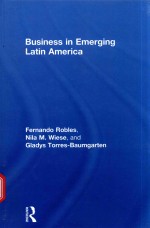 BUSINESS IN EMERGING LATIN AMERICA